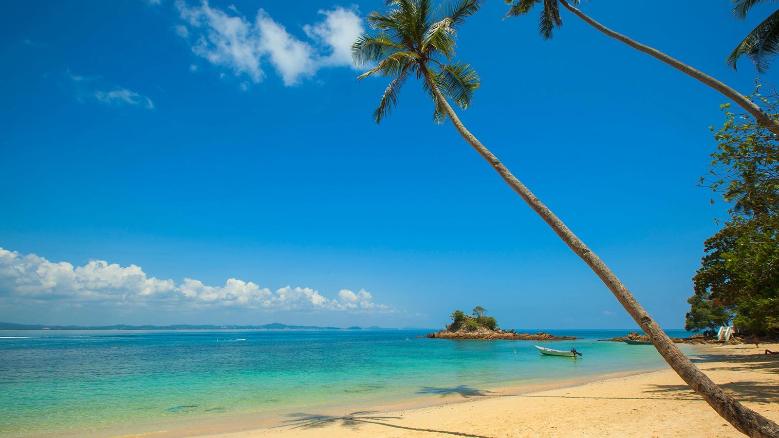 Tropical beach and palm trees in Goa